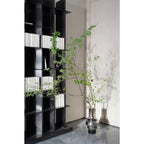 TYLER 46 GR – XL Art Deco Designvaas in Helder Grijs Glas (46 cm)