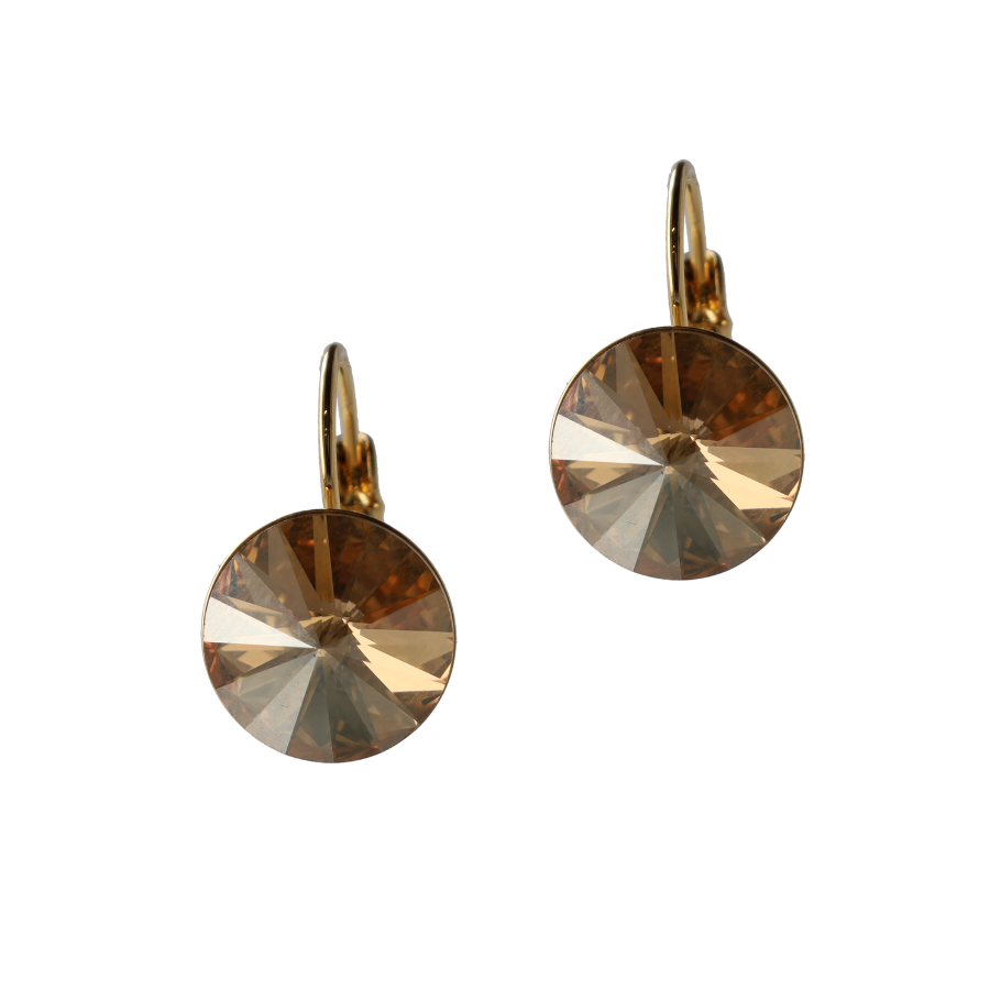 Classic Disc oorhangers – goud