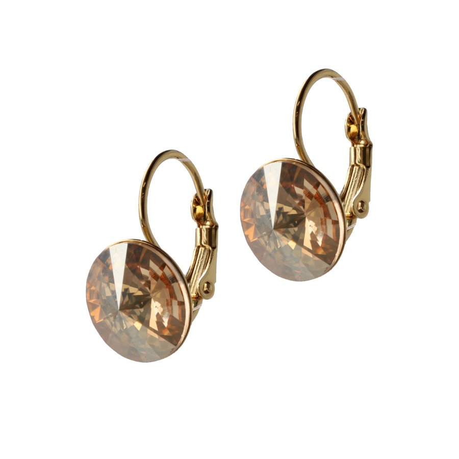 Classic Disc oorhangers – goud