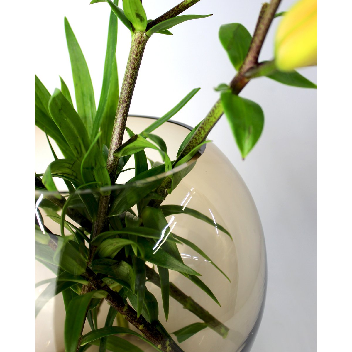Mondgeblazen Glazen Vaas – Amber Taupe Rond