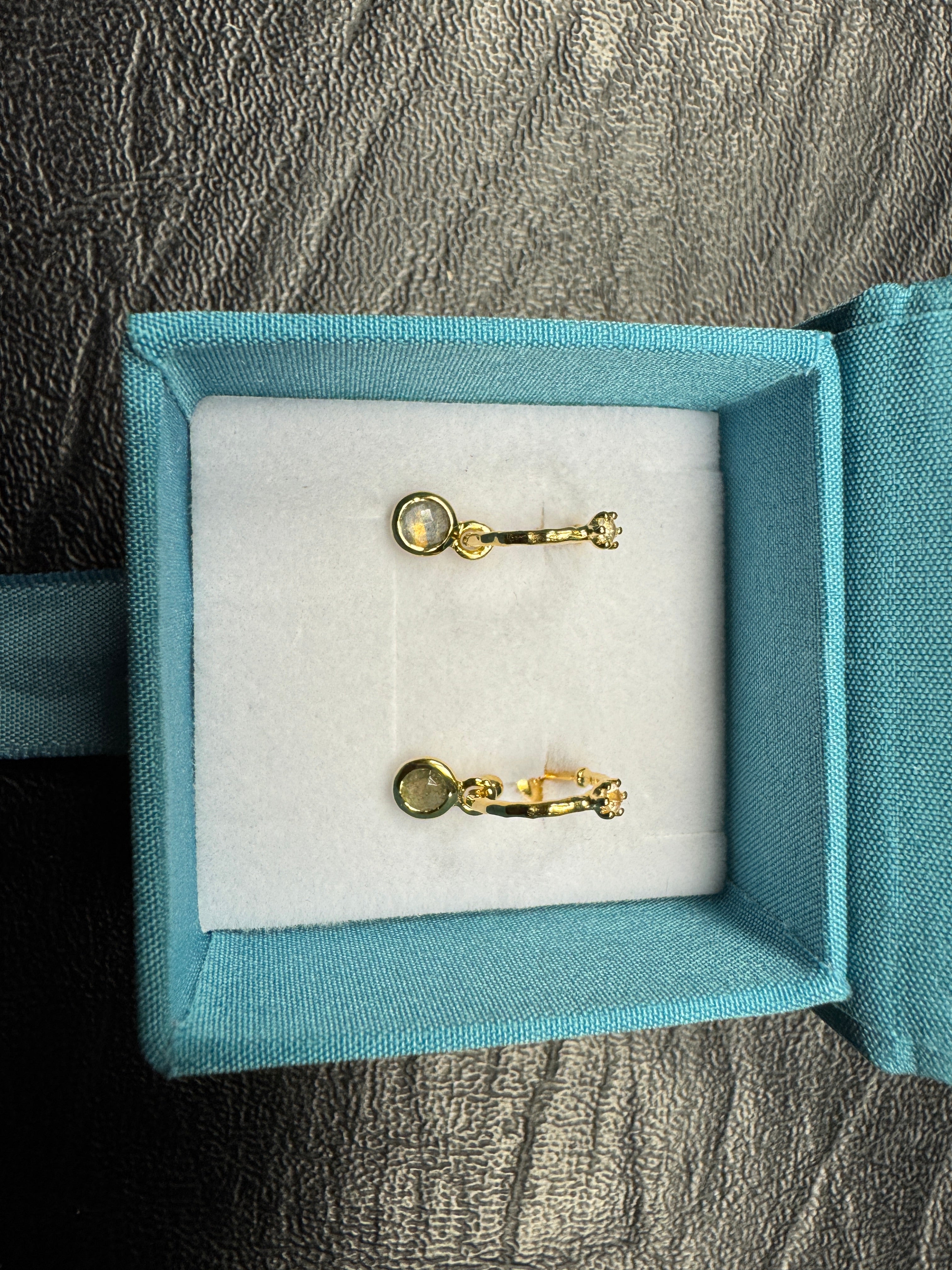 Bhavani Oorbellen – Labradoriet & Maansteen