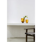 Luxe Bloemenvaas PET 25 – Amber | Praktisch & Tijdloos Design