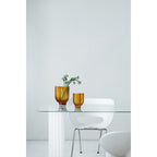 Luxe Bloemenvaas PET 25 – Amber | Praktisch & Tijdloos Design