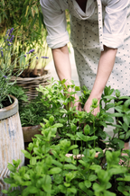 Gestippeld Schort – Biologisch Katoen | Deens Design